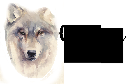 Entrevista: Callie Vee - Catching Dreams