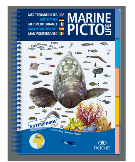 Guías Marine Picto Life