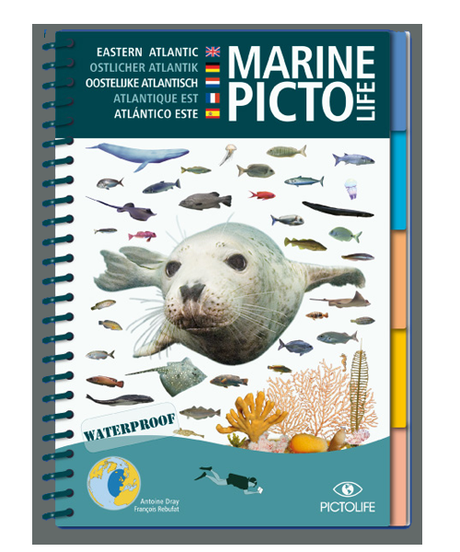 Guías Marine Picto Life