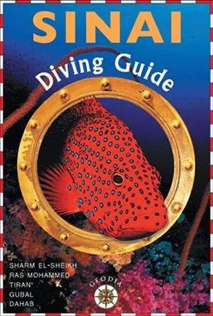 sinai-diving-guide-guida-immersioni