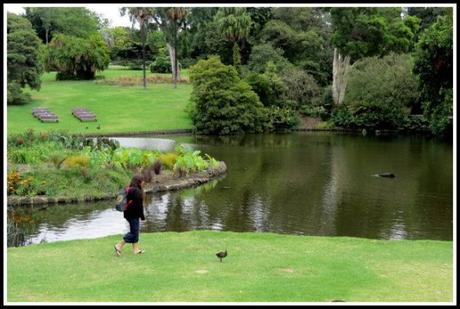 jardines en melbourne