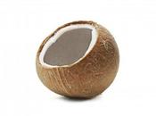 Aceite Coco Engorda?