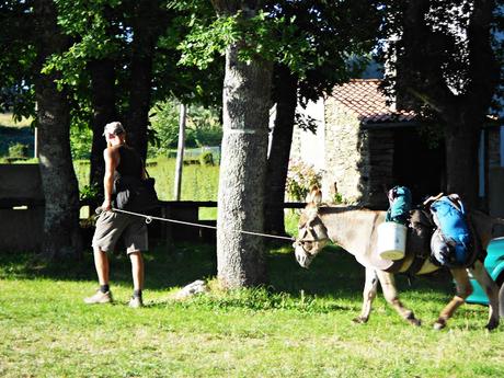 CAMINO DE SANTIAGO: GONZAR-AIREXE. (CAMINO FRANCÉS)