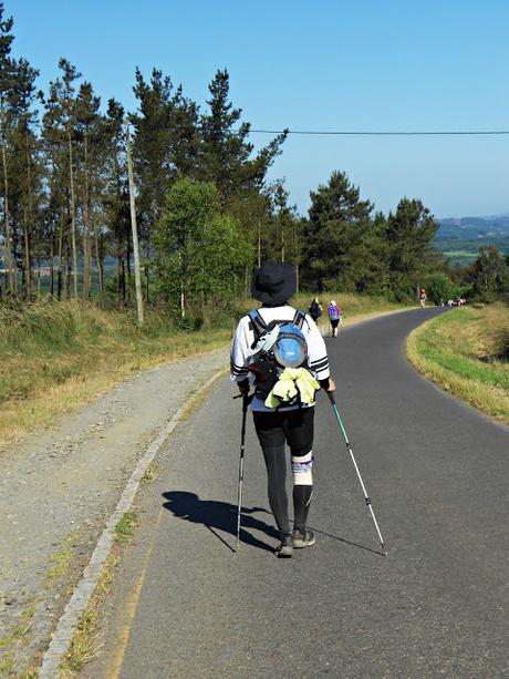 CAMINO DE SANTIAGO: GONZAR-AIREXE. (CAMINO FRANCÉS)