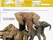 Colaboración Elefanten Fotolexikon