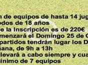 Liga Local Fútbol Almadén