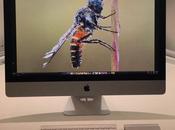 ¿Nuevo iMac 21,5 pulgadas?