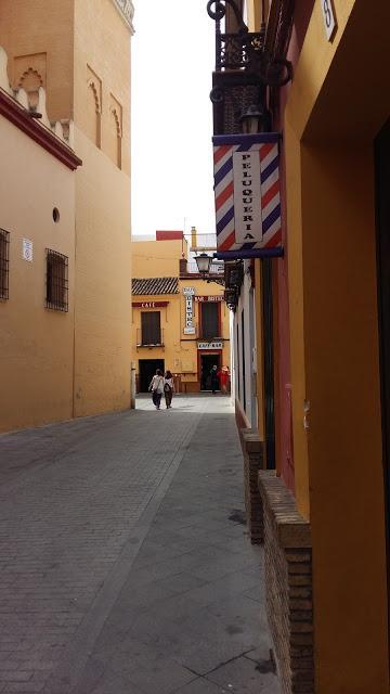 Carreras de la mujer 2015: Sevilla