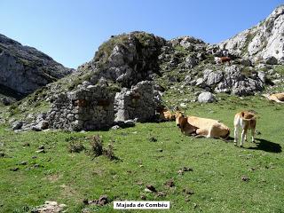 Recorriendo las majadas de Onís del Cornión