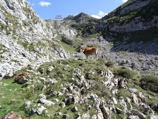 Recorriendo las majadas de Onís del Cornión