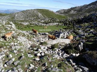 Recorriendo las majadas de Onís del Cornión