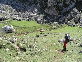 Recorriendo las majadas de Onís del Cornión