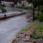 Lluvia y granizo provocan caos y caida de árboles en San Luis Potosí