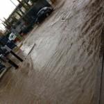 Lluvia y granizo provocan caos y caida de árboles en San Luis Potosí