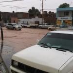 Lluvia y granizo provocan caos y caida de árboles en San Luis Potosí