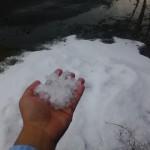 Lluvia y granizo provocan caos y caida de árboles en San Luis Potosí