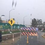Lluvia y granizo provocan caos y caida de árboles en San Luis Potosí