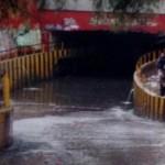 Lluvia y granizo provocan caos y caida de árboles en San Luis Potosí