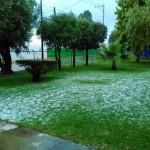 Lluvia y granizo provocan caos y caida de árboles en San Luis Potosí