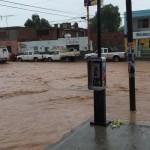 Lluvia y granizo provocan caos y caida de árboles en San Luis Potosí