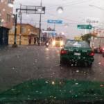 Lluvia y granizo provocan caos y caida de árboles en San Luis Potosí