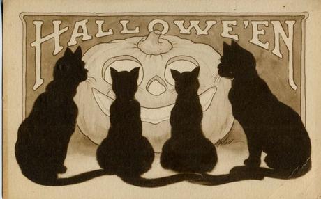 Halloween, Witch, Goblin, Black Cat, Jack-O-Lantern, Bat, Skull, Ghost, Spooky, Full Moon, Pumpkin, Trick or Treat, Autumn, Fall, Haunting, Scarecrow, Magic Potion, Creepy, Spells: 