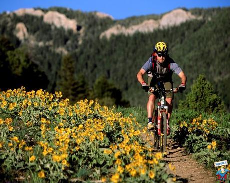 MEJORES BICICLETAS DE MONTAÑA BARATAS