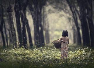 PASARÉ POR LA VIDA...