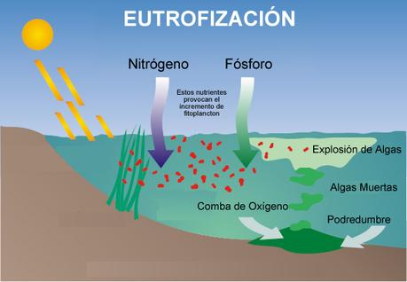 Contaminación por eutrofización