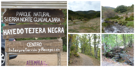 Viajar con niños: Guadalajara y los pueblos Negros.