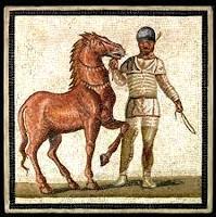 Un día en las carreras. Viernes hípico. Un día en las carreras. Viernes hípico.