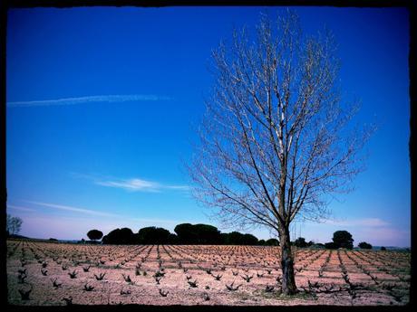 La Horra