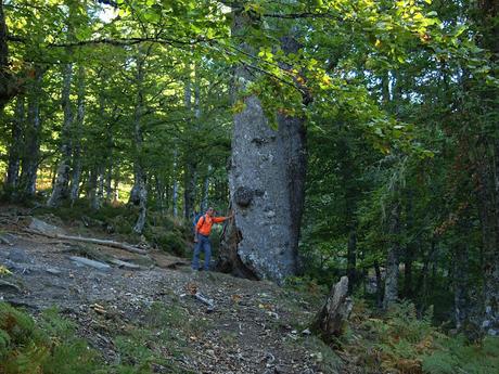 punta extremera, cuetalbo y altos del verde