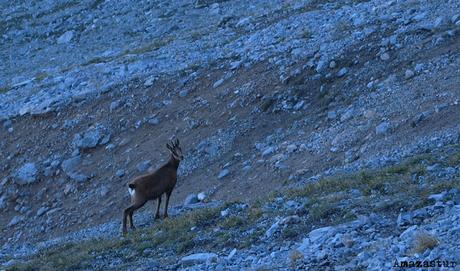 punta extremera, cuetalbo y altos del verde