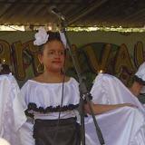 Carrozas y  comparsas reinaron en el Carnaval Infantil guaimareño