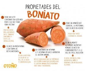 El boniato, un tubérculo de sabor dulce img_05031