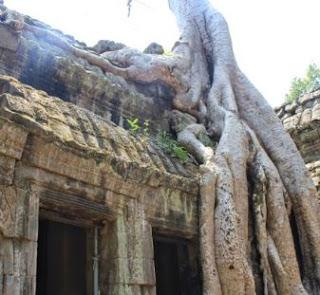 ¿Por qué hacer turismo en Camboya?