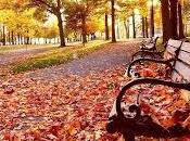 ¡... Otoño!