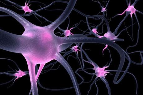 Tratamiento Bioelectromagnética Tratamiento Bioelectromagnética