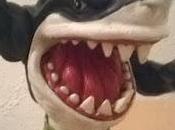 mazmorra Coleccionista Presentación