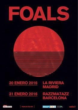 Foals