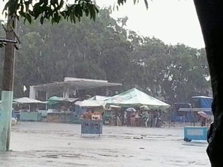 Áreas de la Feria de Guáimaro.