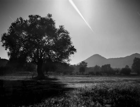 La Luna metiéndose en la sombra de la Tierra