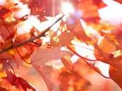 Entérate tiempo hacer Almadén