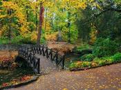 Comisión Competición exitoso poder convocatorio: todos bordo.