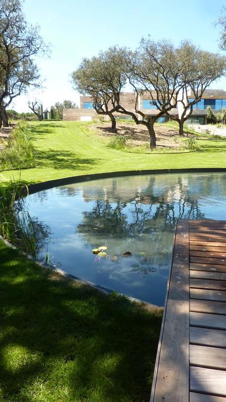 LA SEMANA DE A-CERO DEL 5 AL 10 DE NOVIEMBRE