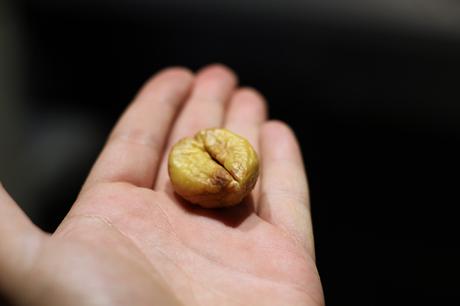 Asar castañas en el microondas