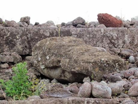 La destrucción de los moai. Rapa Nui