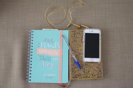 A little bit more of my day a day IMG_5181