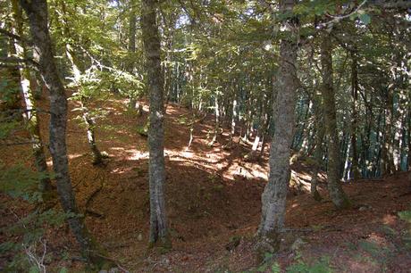 Ruta de Soto de Sajambre al Refugio de Vegabaño